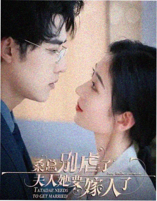 南风知我意都市情感剧海报